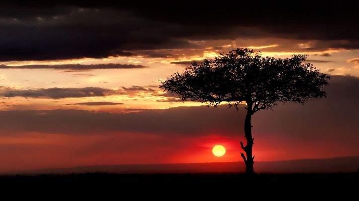 Coucher de soleil - Savane - Sunset