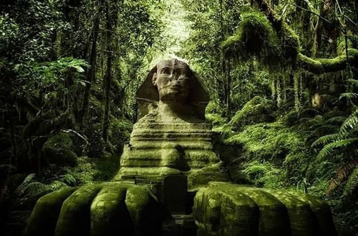 Sphinx - Sahara vert