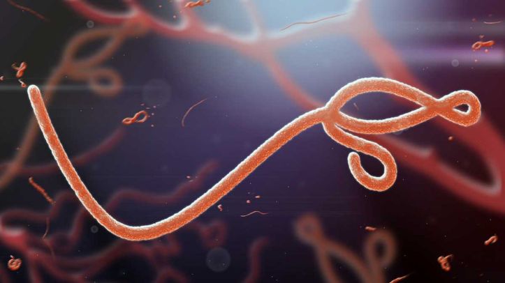 Ebola Virus - 2