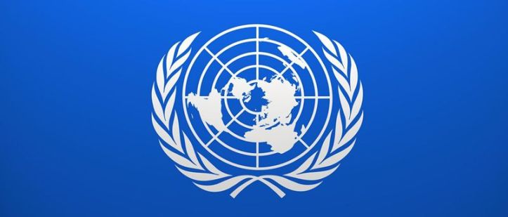 Logo - ONU