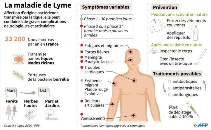 Maladie de Lyme - Conseils