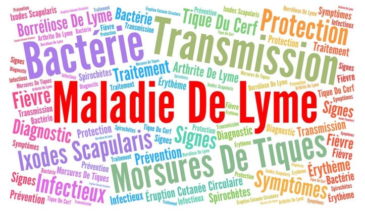 Maladie de Lyme - Symptômes