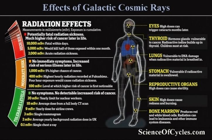 Effects of cosmic ray radiation