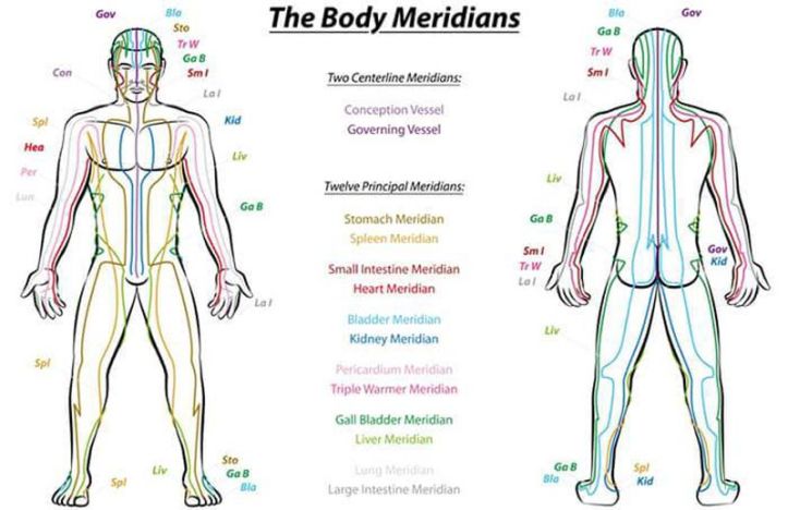 The body meridians