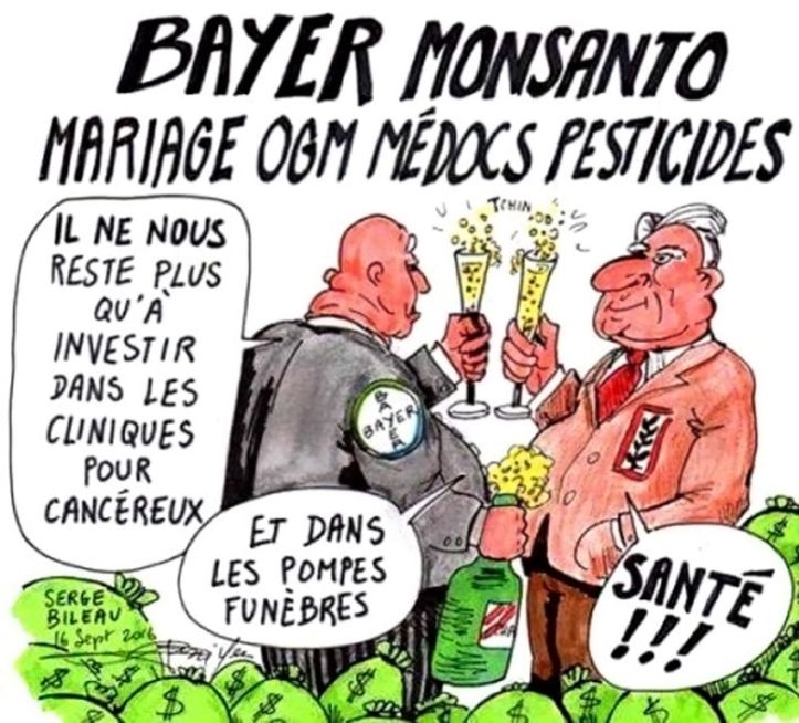 Bayer - Monsanto - OGM