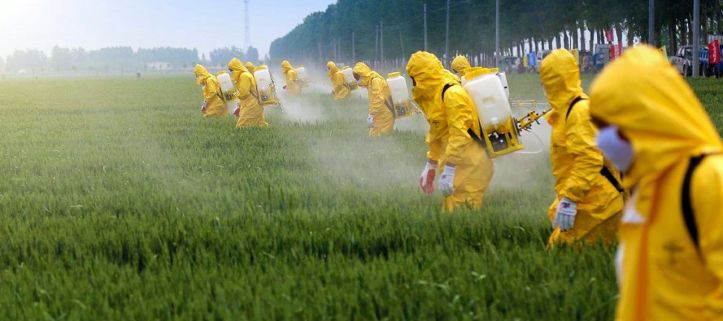 Hommes - Pesticides