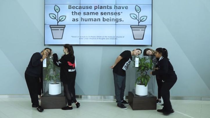 Bully a Plant - 3