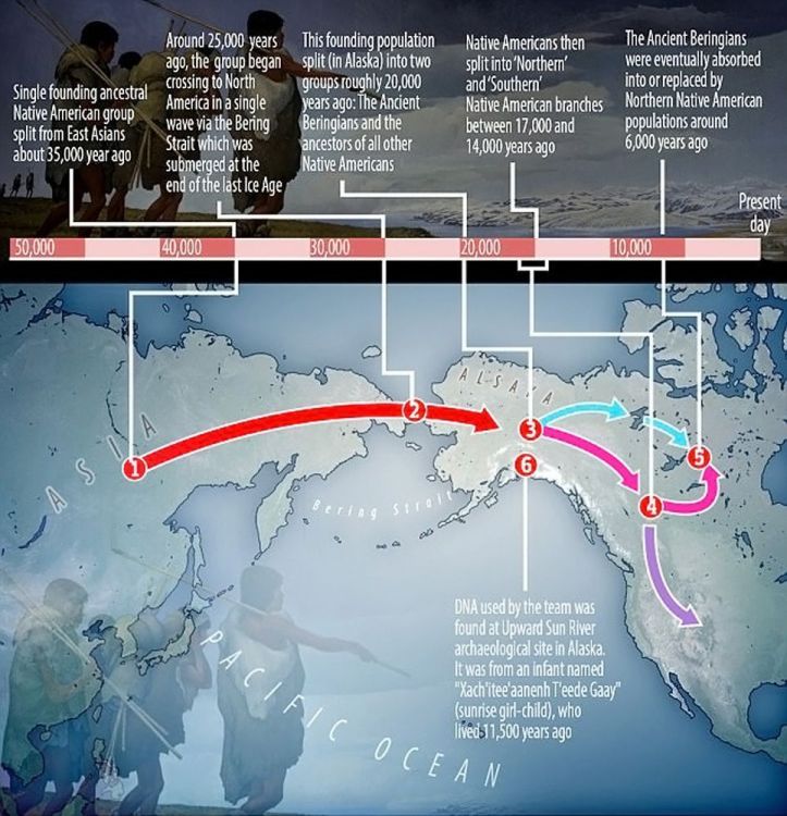 Carte – Migration – Amérindien