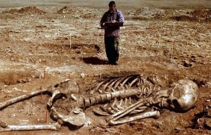 Giant Human Skeletons – Squelette humain géant - 1