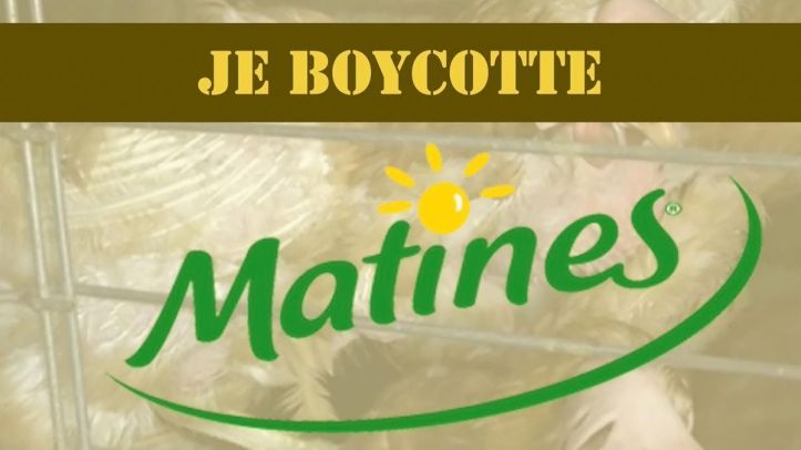 Matines - Boycotte