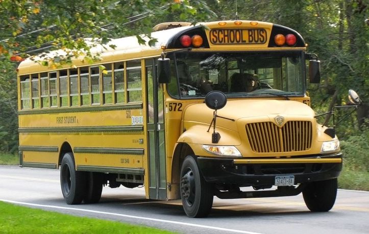 Bus scolaire - School bus