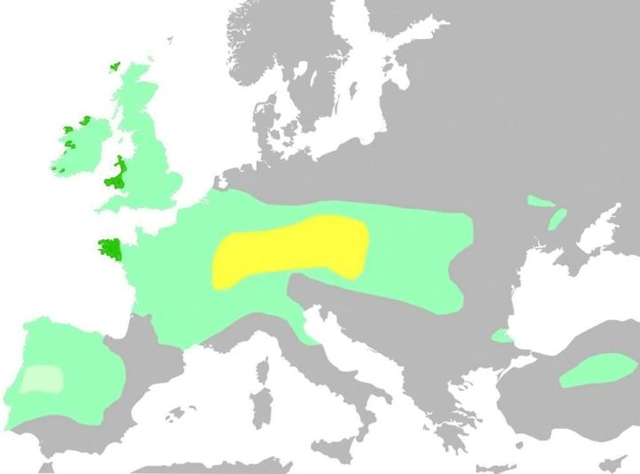 MAP - Celtes