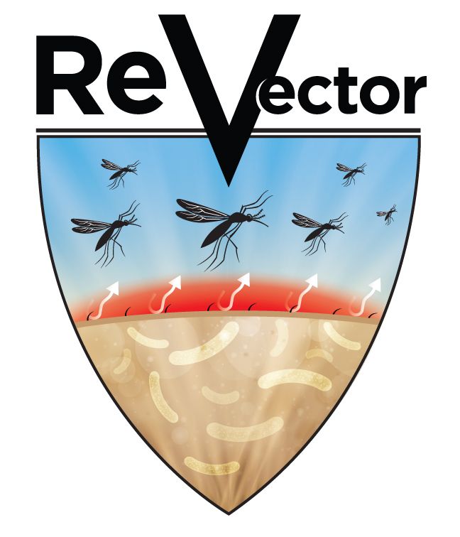 ReVector
