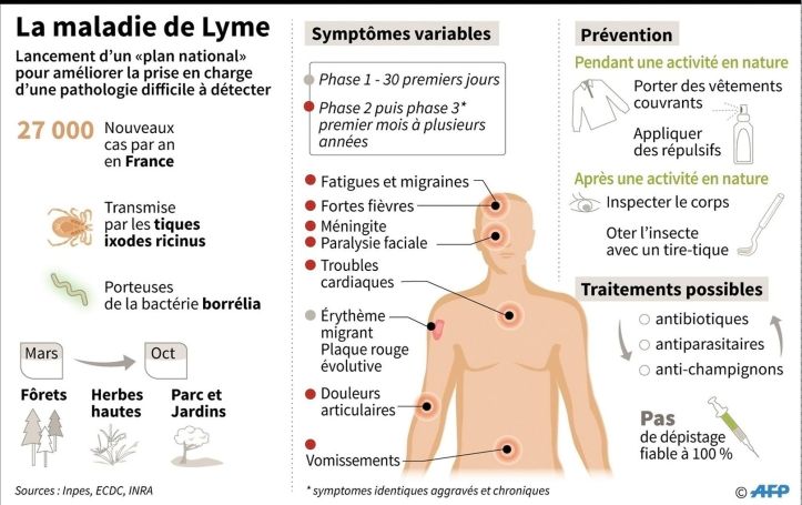Maladie de Lyme - 2