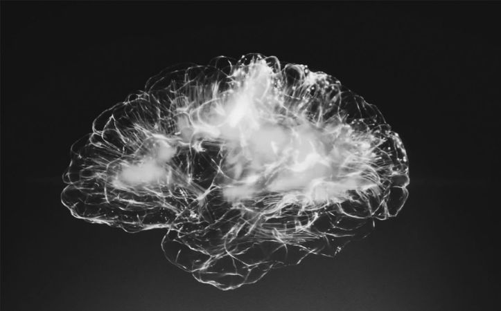 Cerveau - Brain - 1