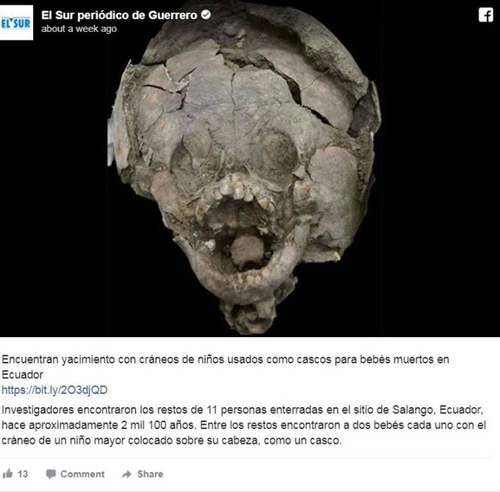 Crâne – Archéologie - 3