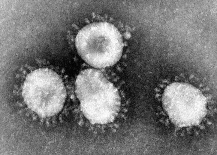 Coronavirus - 2