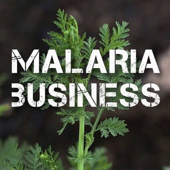 Malaria Business - 1