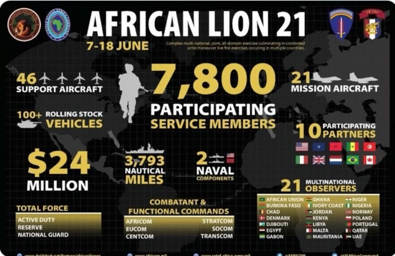 African Lion 21 - 3
